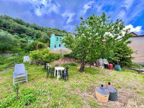 [AC & Garden] Olive Grove Oasis